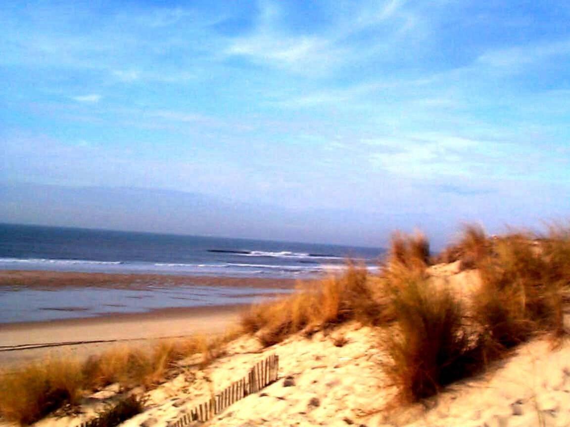 Maison Piscine 4 Ch Carcans Medoc Bassin Arcachon 外观 照片