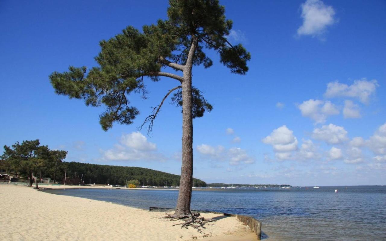 Maison Piscine 4 Ch Carcans Medoc Bassin Arcachon 外观 照片