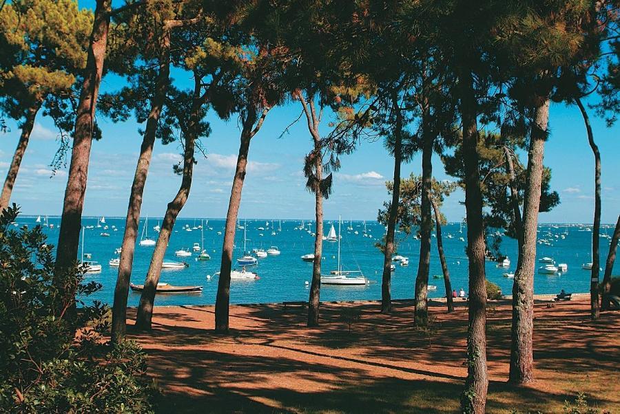 Maison Piscine 4 Ch Carcans Medoc Bassin Arcachon 外观 照片