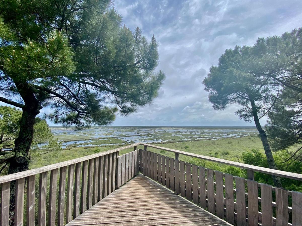 Maison Piscine 4 Ch Carcans Medoc Bassin Arcachon 外观 照片